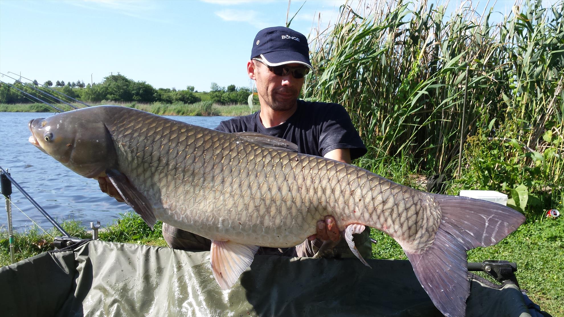 Tancabesti 5 - 6 iunie 2015 - 20150606092604.jpg